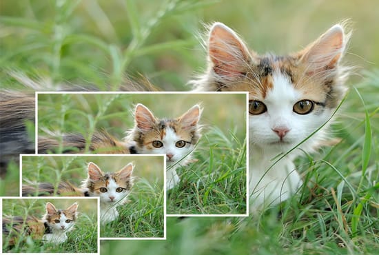 resize bulk images, banners, and background remove