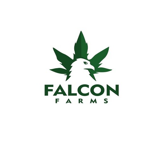 design falcon logo for large hemp farm in ca