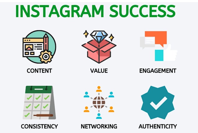 provide an instagram growth strategy consultation service