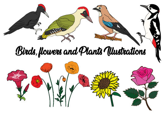 create simple flat realistic vector animal illustrations