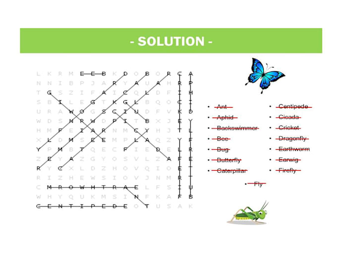 create custom word search puzzles with english or spanish words