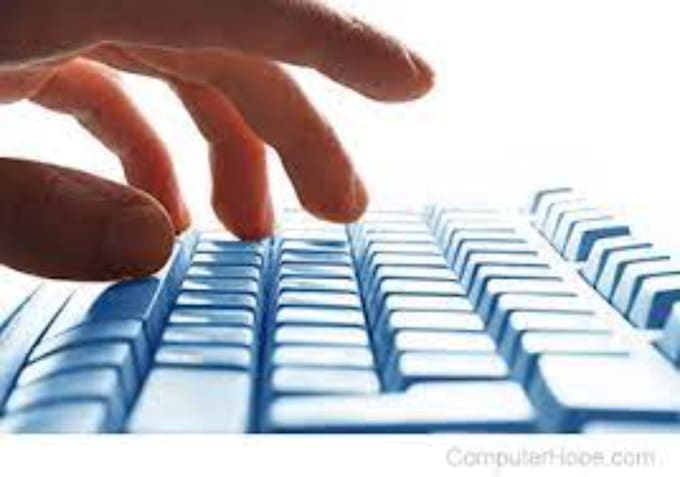 do fastest data entry in one day