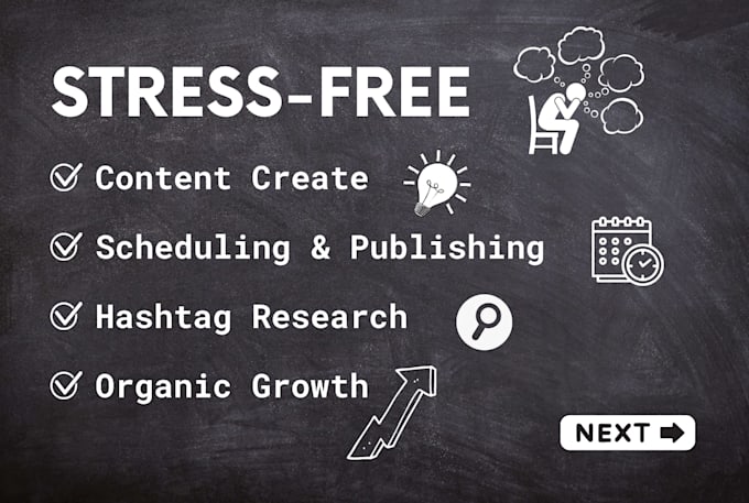 management of your social media and content creation