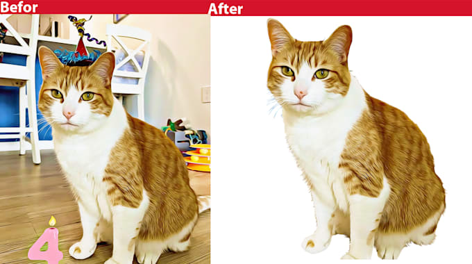 do image masking by the photoshop