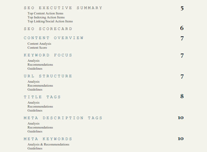 do website SEO audit report, action plan, and competitor analysis