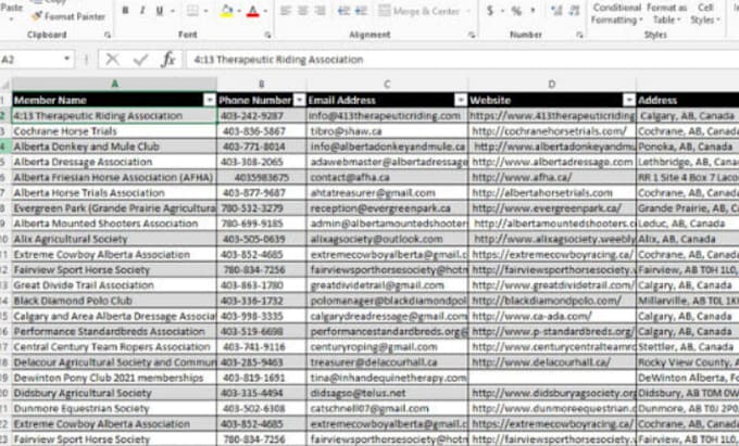 be your data entry operator in excel spreadsheet