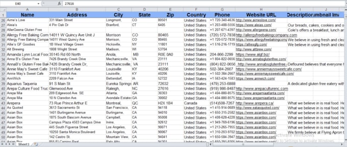 be your reliable virtual assistant for data entry and web research
