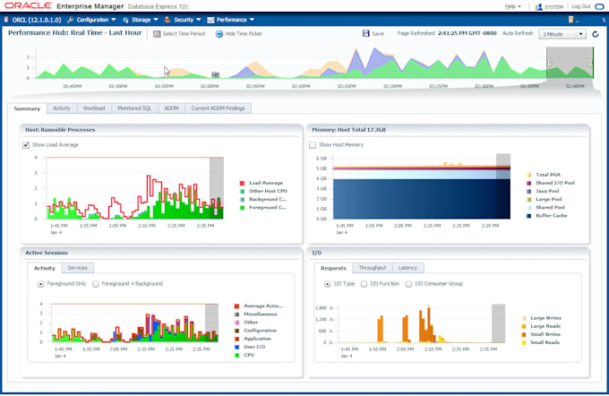optimize, secure, and manage your oracle database professionally