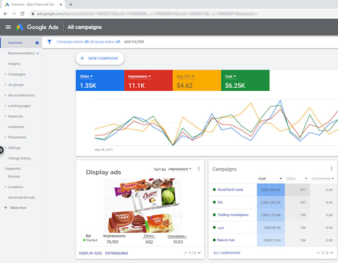 setup display advertising ,video ads for google adwords and adsense
