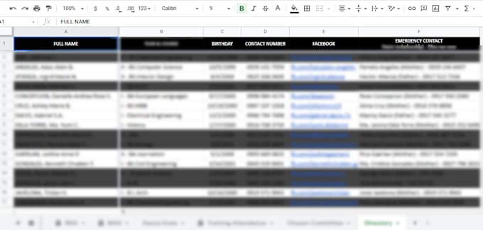make your google sheets pretty and easier to use