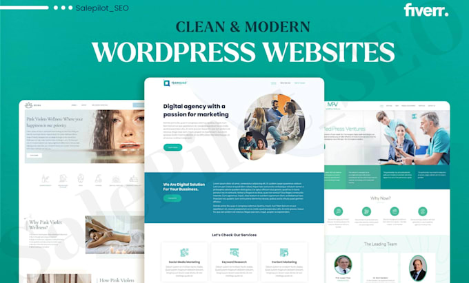 develop a professional wordpress website for your business