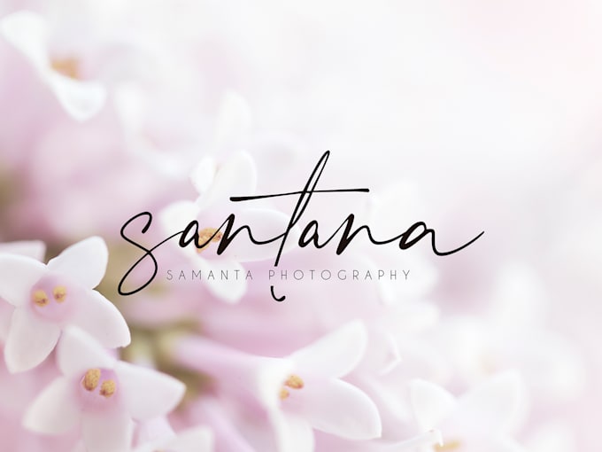 design minimal logo through brand analysis