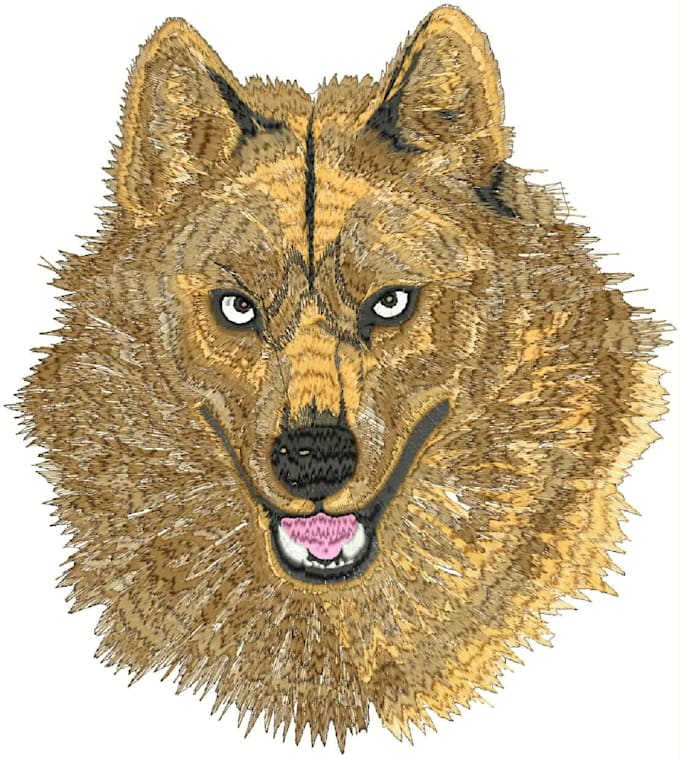 do embroidery digitizing logo into emb dst pes files in 1 hr