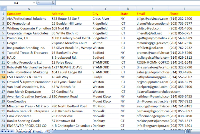 be your virtual assistant for excel data entry and web research