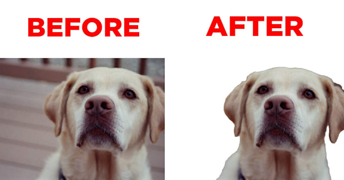 remove the background or greenscreen from your photos