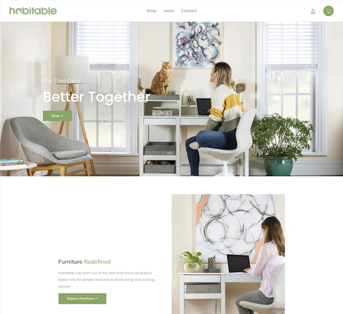 do shopify development and customization
