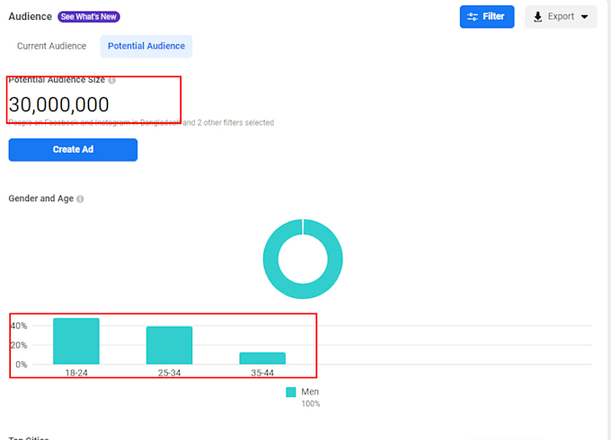 be your facebook ads campaign manager