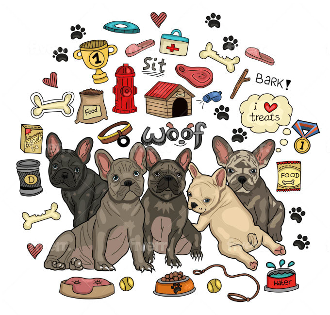 make cute pets illustrations,caricature
