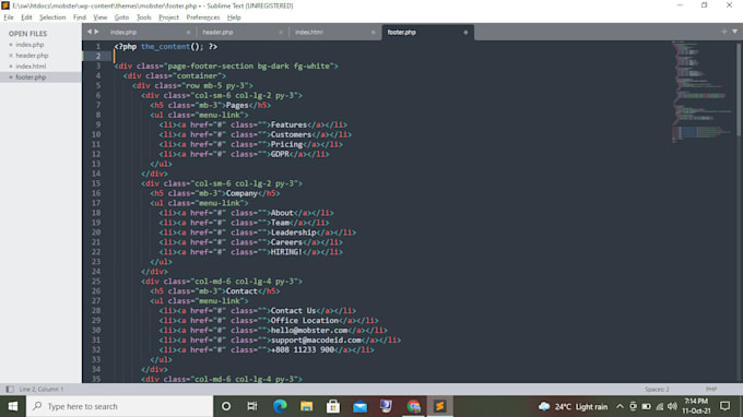expert wordpress convertor of html template to wp theme