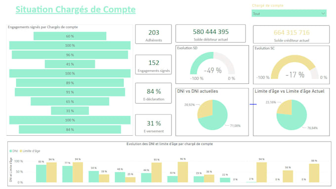 build professional power bi dashboard
