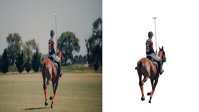 do 100 photos background removal in 24 hours