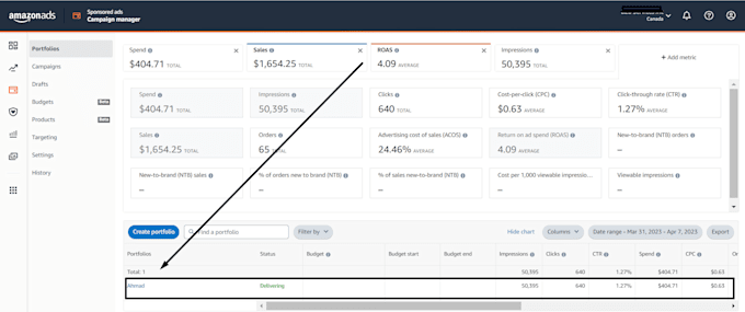 setup, optimize and manage amazon PPC ads proficiently
