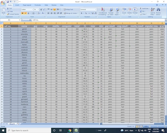 do excel data entry, copy past, typing