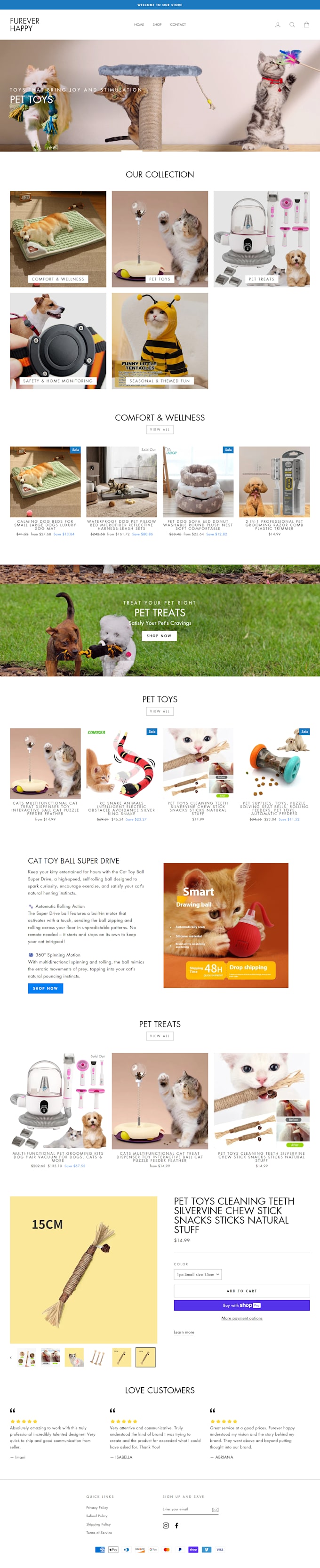 set up shopify store