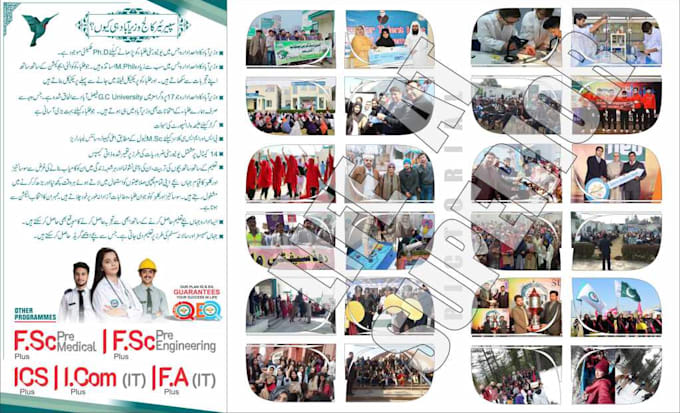 Design professional brochure catalog video editing by Hafizimran313 ...