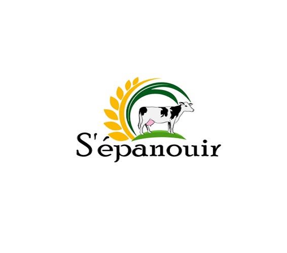 create a professional sleek logo  in 1 day