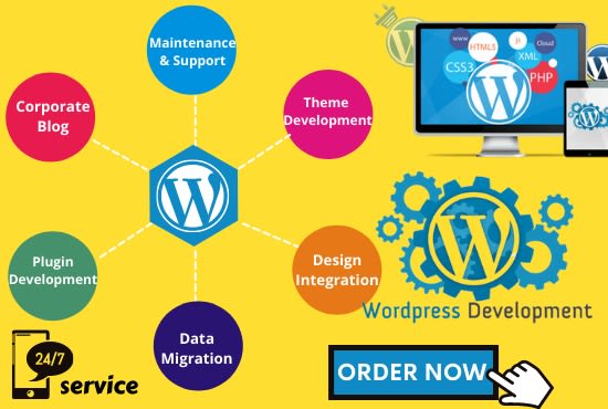 be wordpress developer do wordpress customization and wordpress plugin