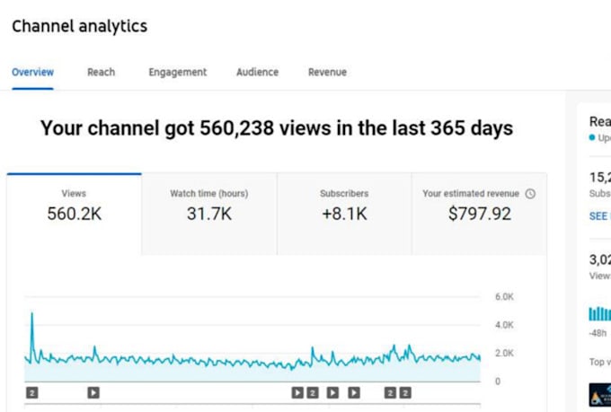 be your youtube channel growth manager and videos SEO
