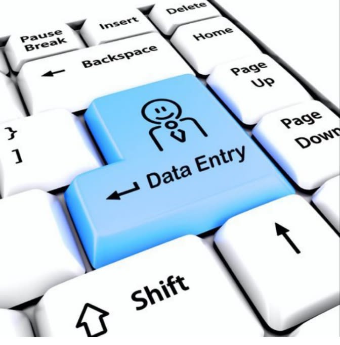 do data entry, data management and of data collection