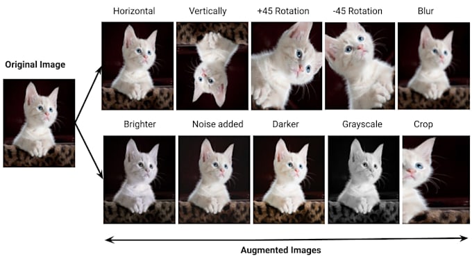 do data augmentation on images