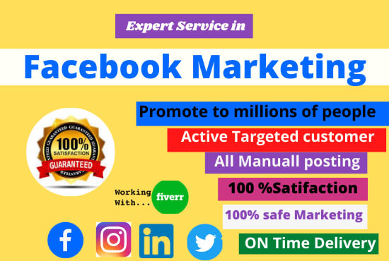 run facebook ads campaign and promote