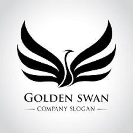 design a professional logo