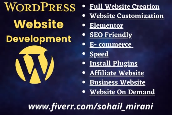 design professional wordpress website