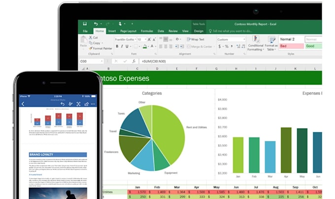 provide excellent service in excel data entry, typing copypaste