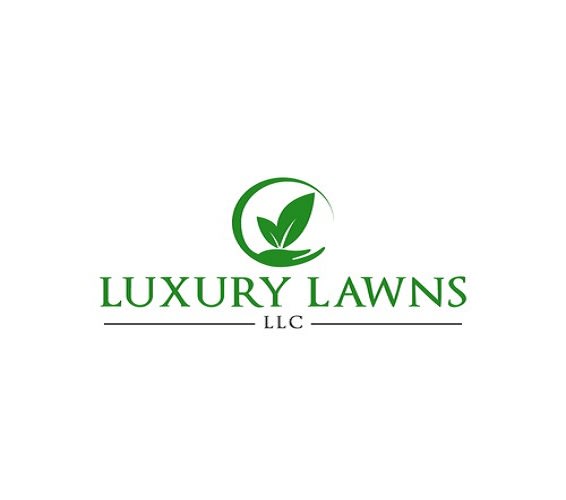 create a professional lawn care logo in 1 day