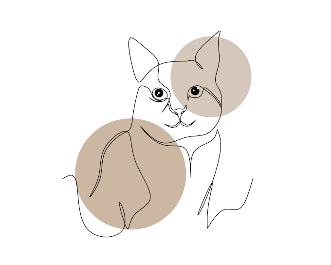 draw continuous line art from your photo