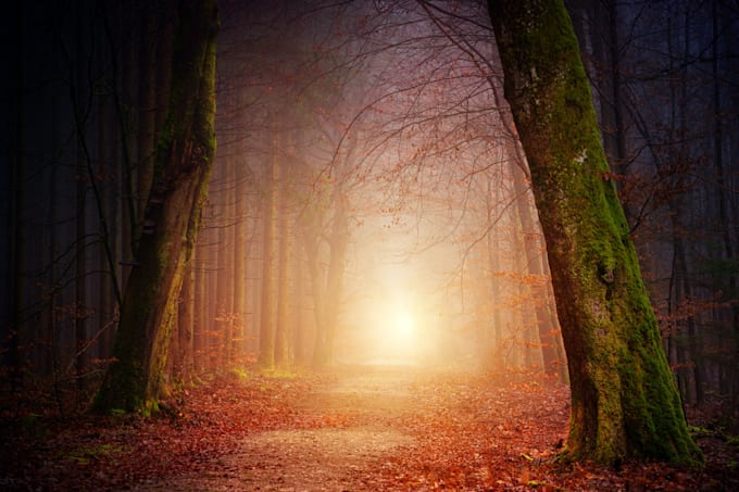 intuitively read tarot for your every need