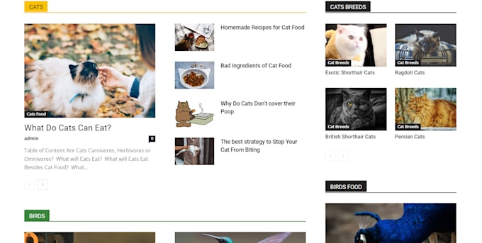 do wp theme installation, theme customization, website modification