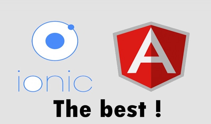 Fix bug frontend app angular and ionic , javascript by Anceur_ibrahim ...