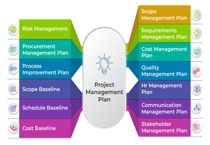provide project management services and create documents