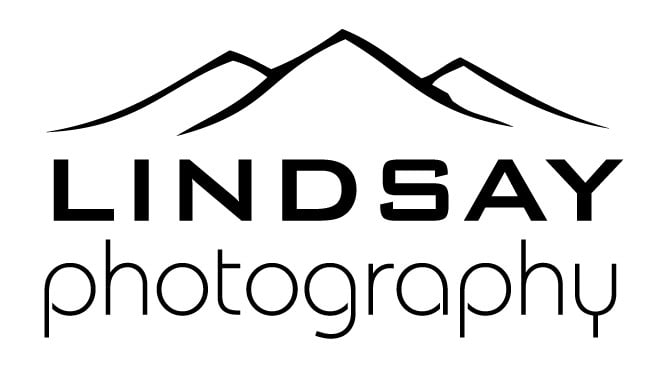 offer logo and graphic design services for print and web