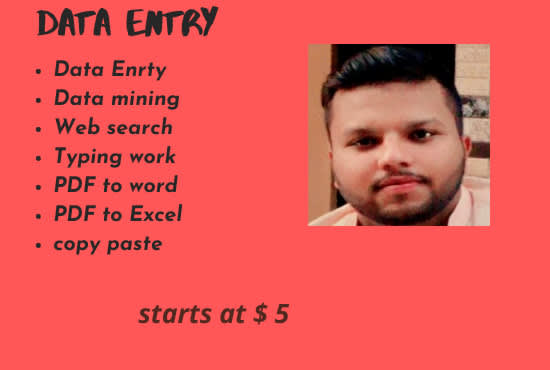 do fast copy paste, typing work, data enrty and PDF to excel work