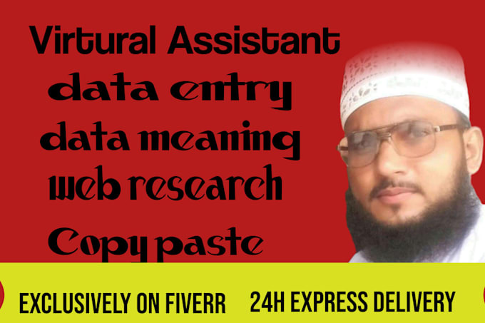 be your virtual assistant for data entry,