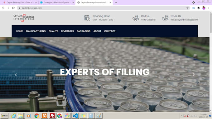 develop a unique and modern responsive website design
