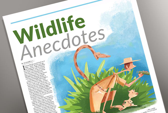 create illustrations for editorials, features, advertorials, campaigns