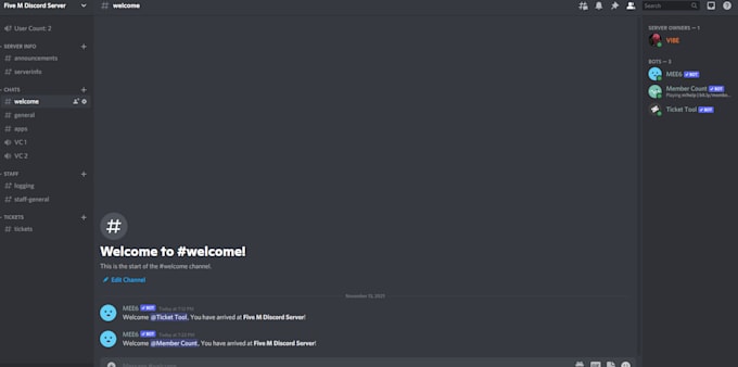we will create a discord server personalized just for you